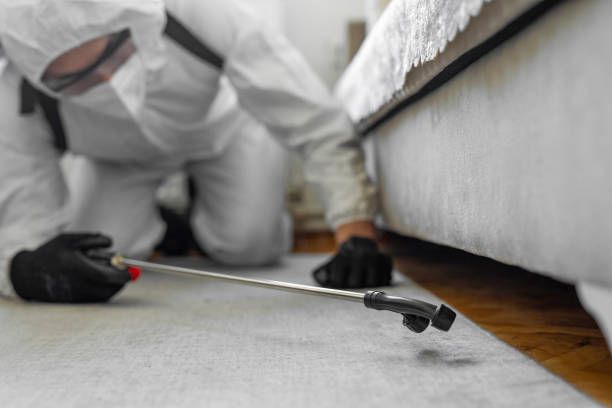 Professional Bed Bug Control technician working in Atchison, KS
